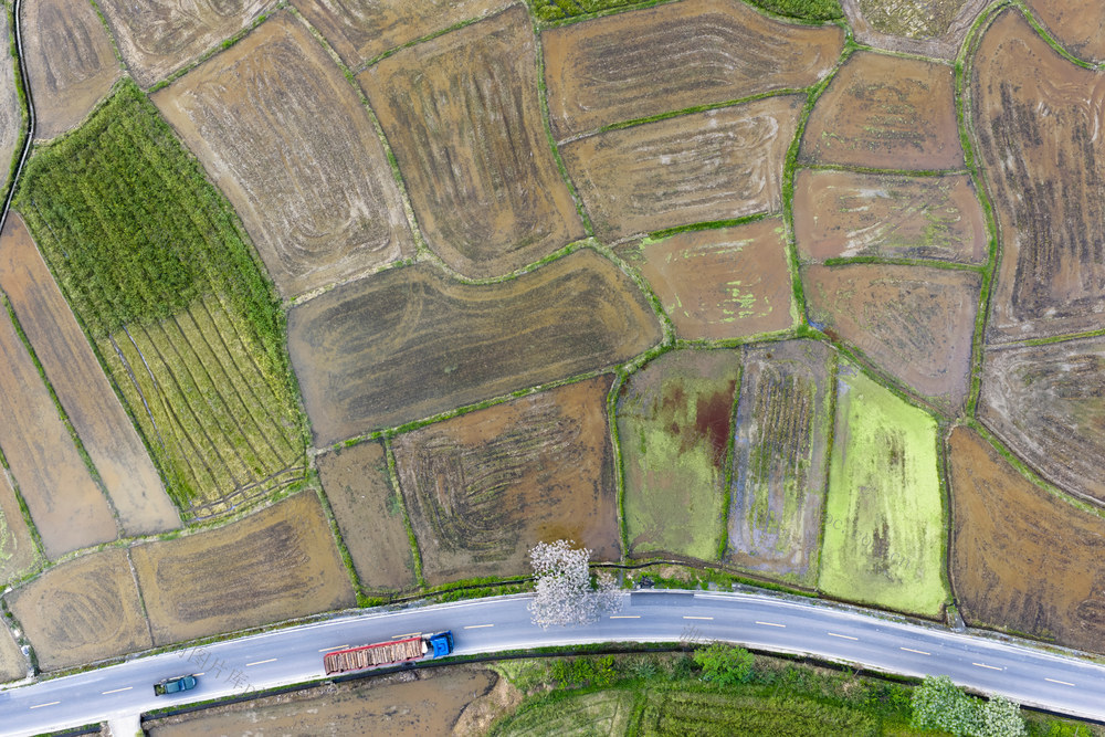 路 农村公路 公路 四好公路 花