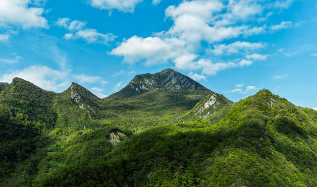 蓝天白云之下，壶瓶山如巨龙横亘湘北，主峰海拔2098.7米，昂首撑起“湖南屋脊”的壮阔。杨翠辉2026年4月30日摄于湖南石门县壶瓶山