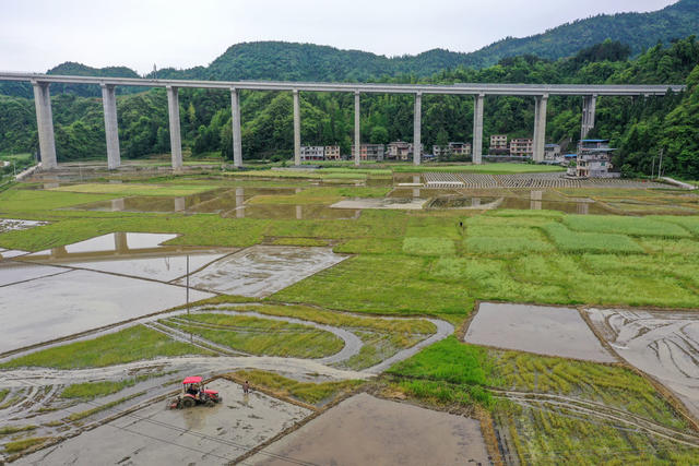 湖南，龙山，季节，暮春，农时，耕作，忙碌