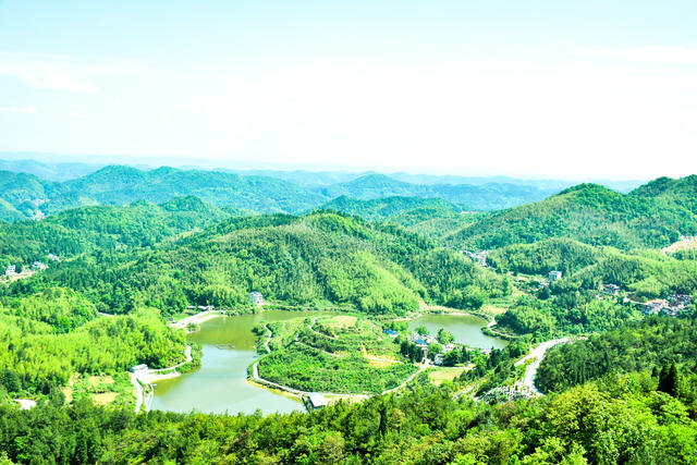 向家盛景