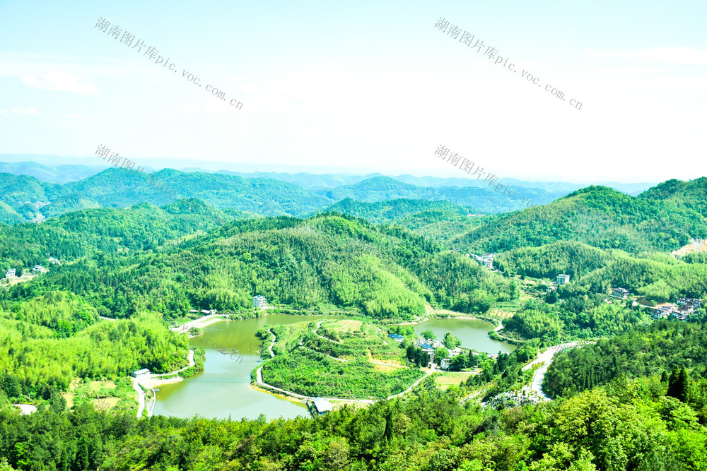向家盛景