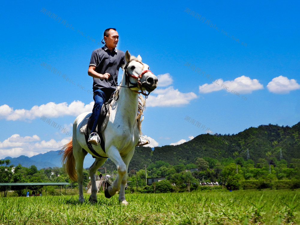 通道 游客 骑马 烧烤 游玩  欢度 假日