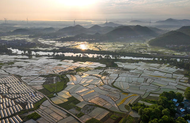 江永  夏日田园  生态画卷  
