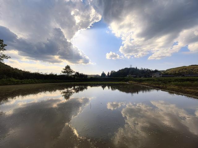 立夏、黄岩风光、怀化、初夏、凉山杜鹃、水田、乡村
