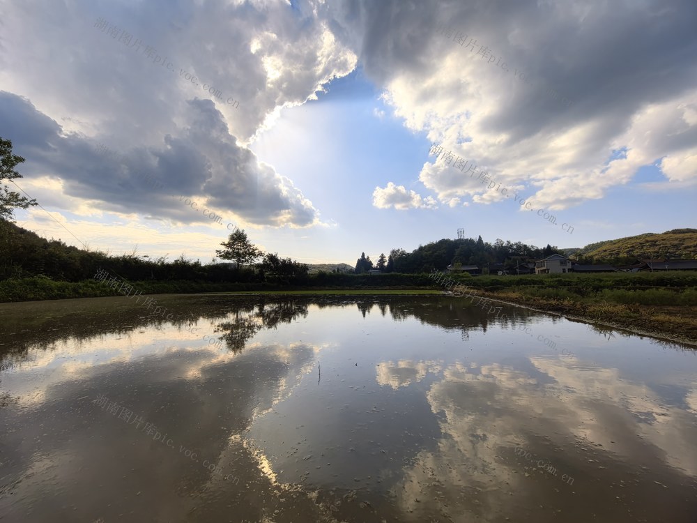 立夏、黄岩风光、怀化、初夏、凉山杜鹃、水田、乡村
