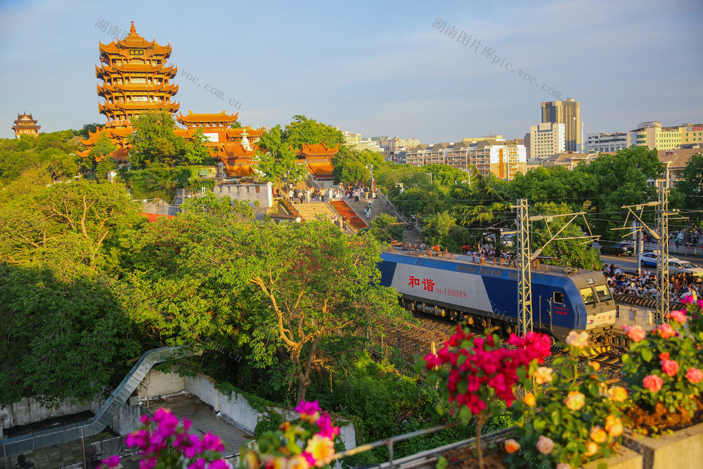 旅游 黄鹤楼 假期生活 新质旅游活力