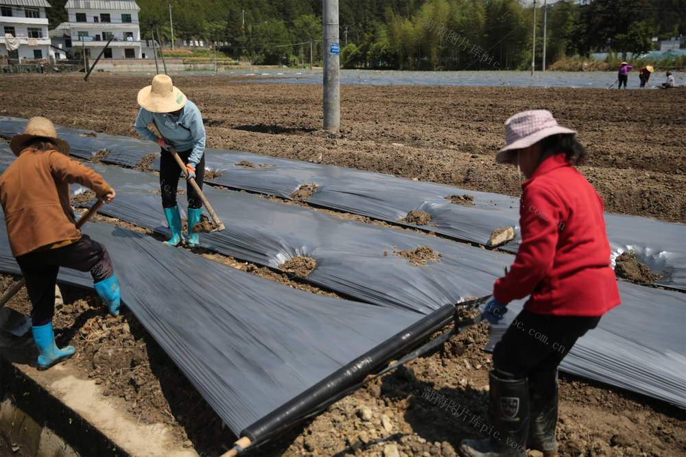 湖南桂东、高山蔬菜、基地扩种、白竹村、精深加工、泡菜生产线、5000 吨产能、设备调试、即将投产、富民增收、高山农业