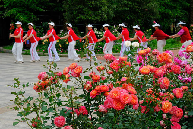 畅游花海，湖南省植物园