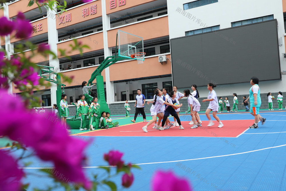 土家族 湘西 砂子坳  苗族 小学 同学们 篮球 联赛