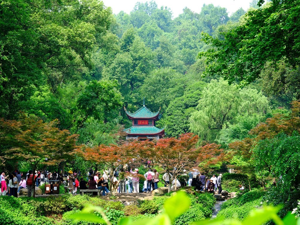 “错峰游”，爱晚亭