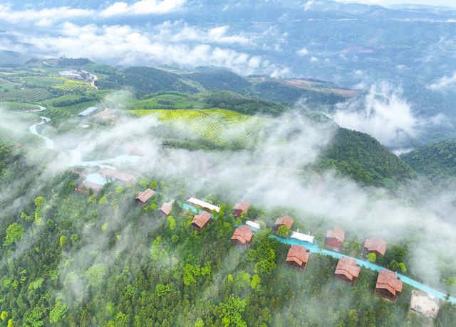 茶旅融合 茶文旅融合新业态 文旅配套设施 民宿 露营基地 茶园 观光步道 云雾