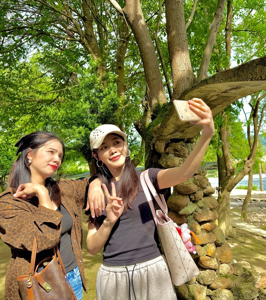 夏日快乐
