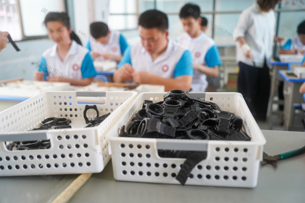 残障学生 残障人就业培训