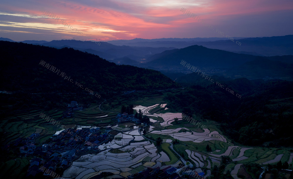 布村   梯田   霞光