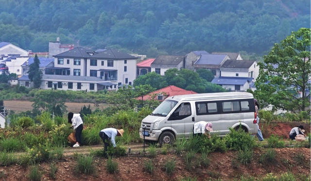 乡村振兴