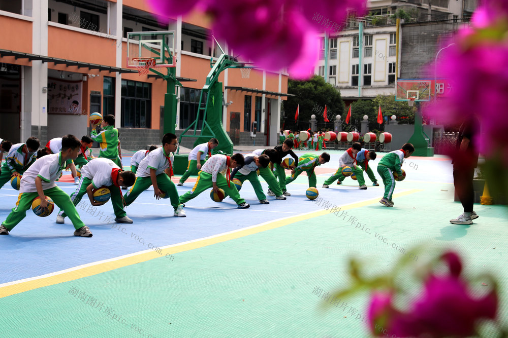 土家族 湘西 砂子坳 苗族 小学 篮球 运动 体质