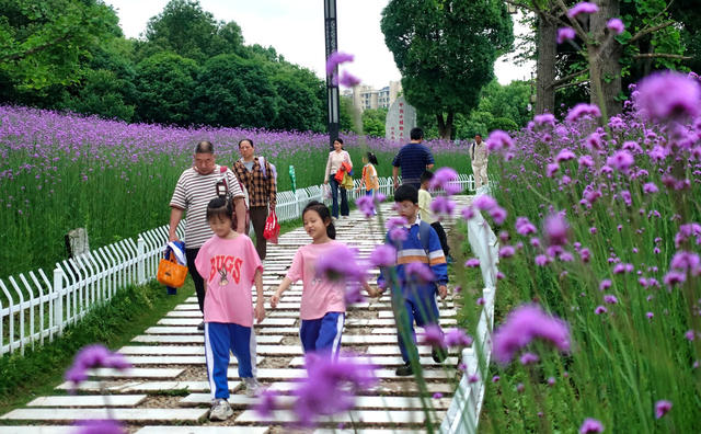 乐享鲜花步道