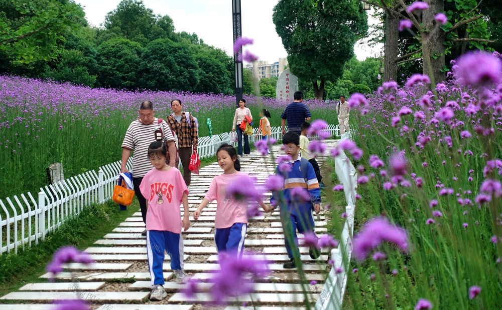 乐享鲜花步道