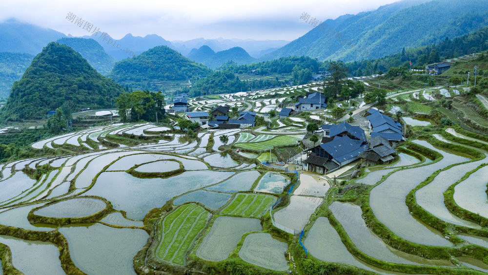 东安  塘家梯田
