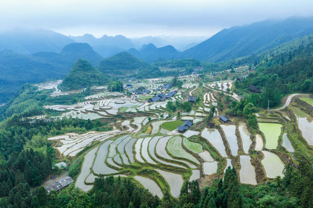 塘家梯田 水墨画卷