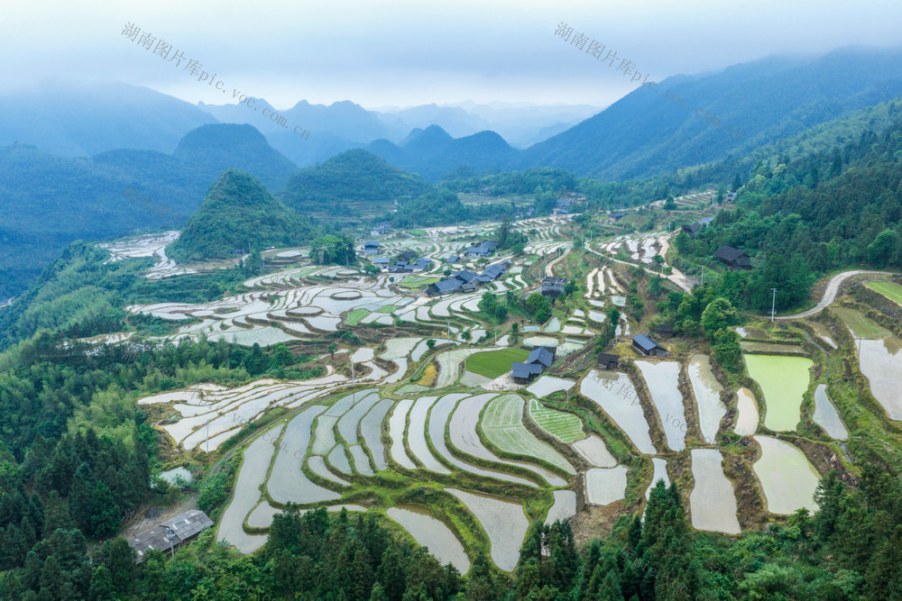 塘家梯田 水墨画卷