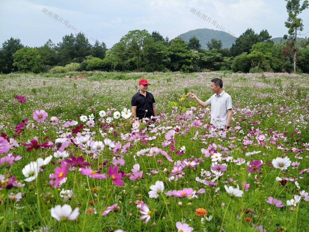 矿山 废弃  修复 绿植 绿水青山