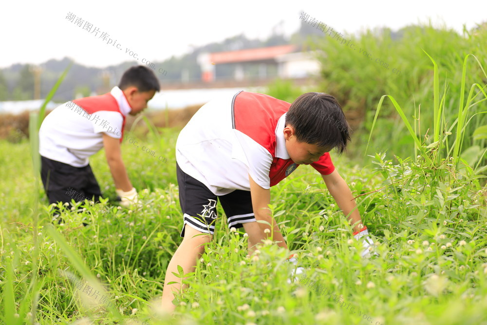 体验 劳动 艰辛 润 童心