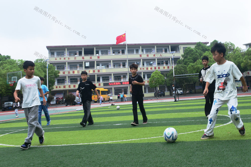 嘉禾：校园足球乐融融