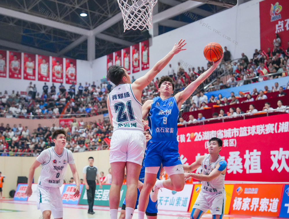 篮球 体育 湘BA
