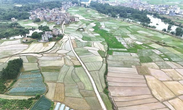  夏日田园景色美