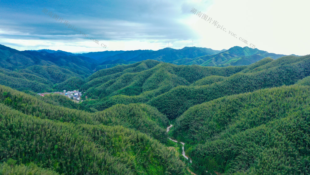 湖南新田：万亩竹海景如画