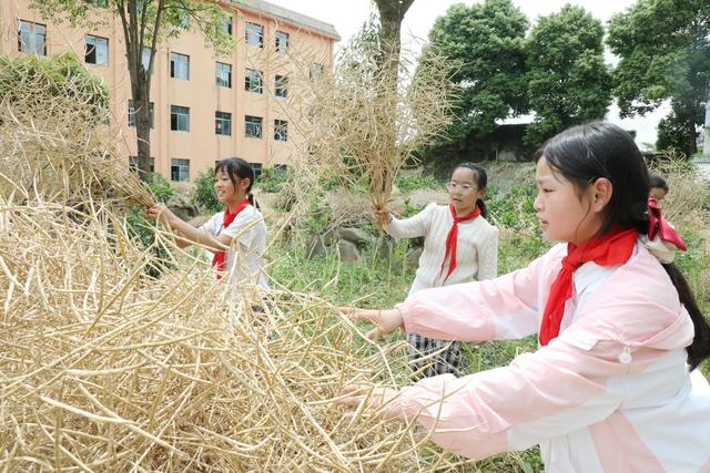  “校园农场”学农耕