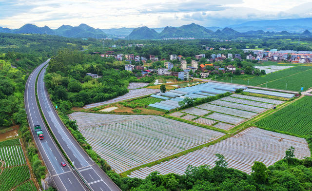 嘉禾：初夏田园美