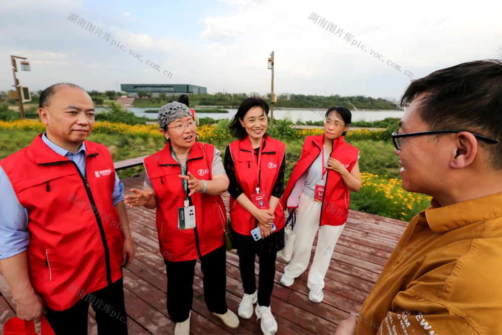 世界博物馆日，殷墟博物馆，安阳殷墟，世界遗产，殷商文明，甲骨文，青铜器，司母戊，小屯，殷墟文物保护志愿者