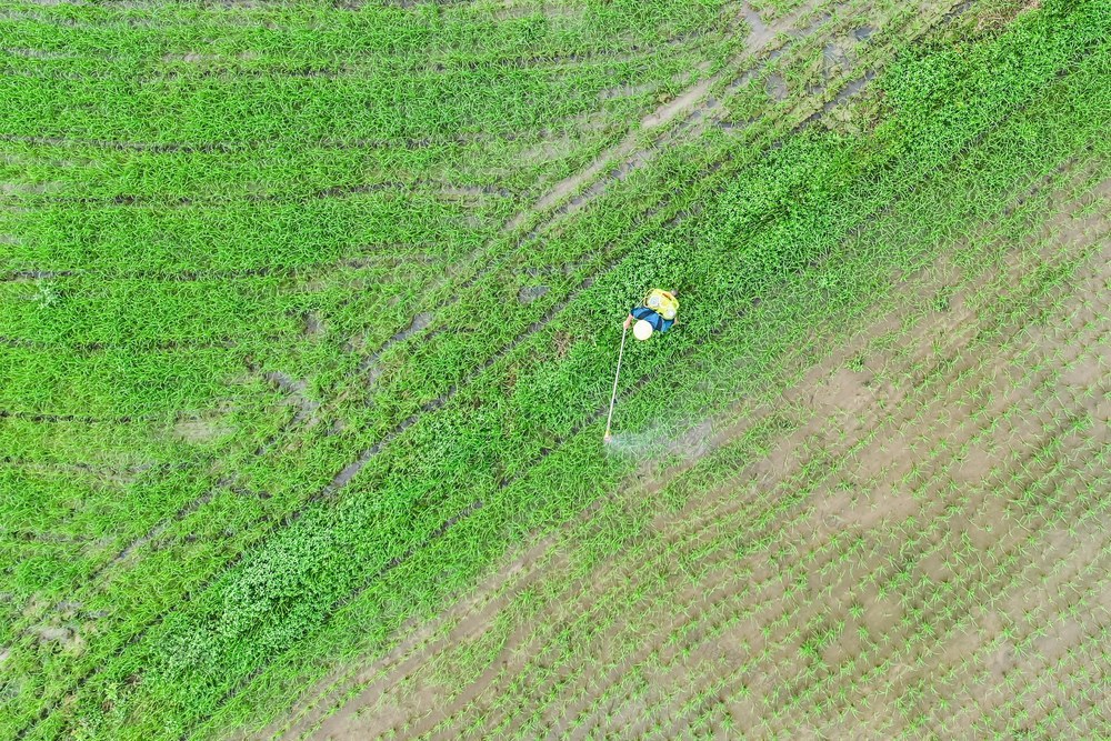 田管 田间 农业 三农 粮食 喷洒农药