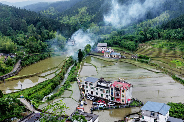 早晨、雨后、新农村、秧田、梯田