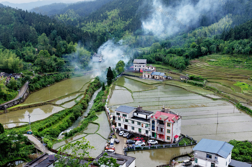 早晨、雨后、新农村、秧田、梯田