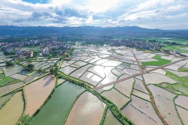 夏日 乡村 田园 生态 农村
