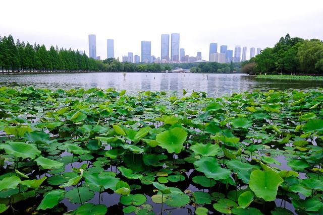 湖南烈士公园
