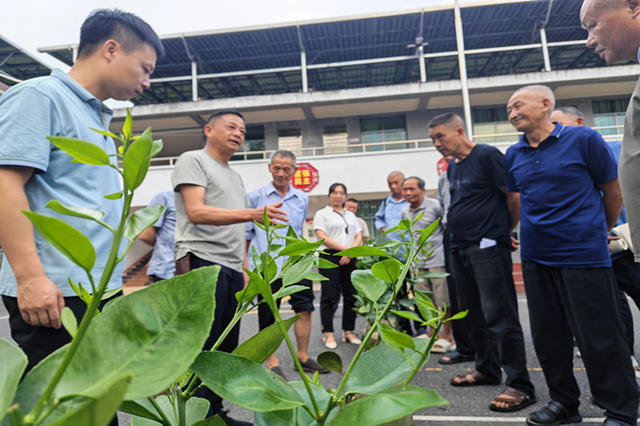 资兴市  实用技术培训