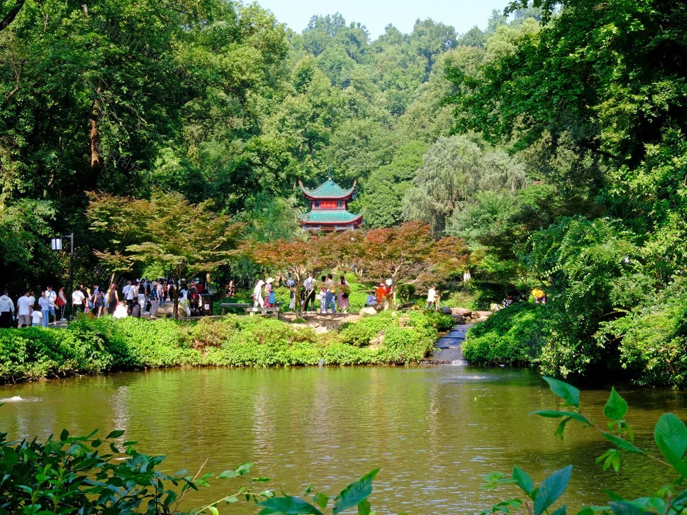 爱晚亭