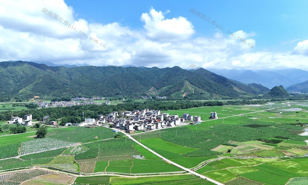  绿色田园