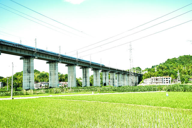 田园风光入画来