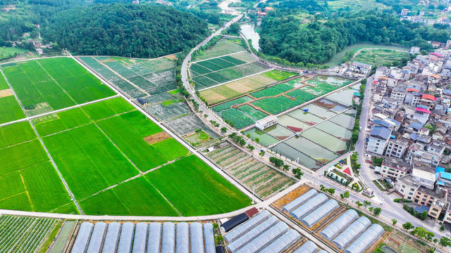 现代  乡村  田园  画卷  和美