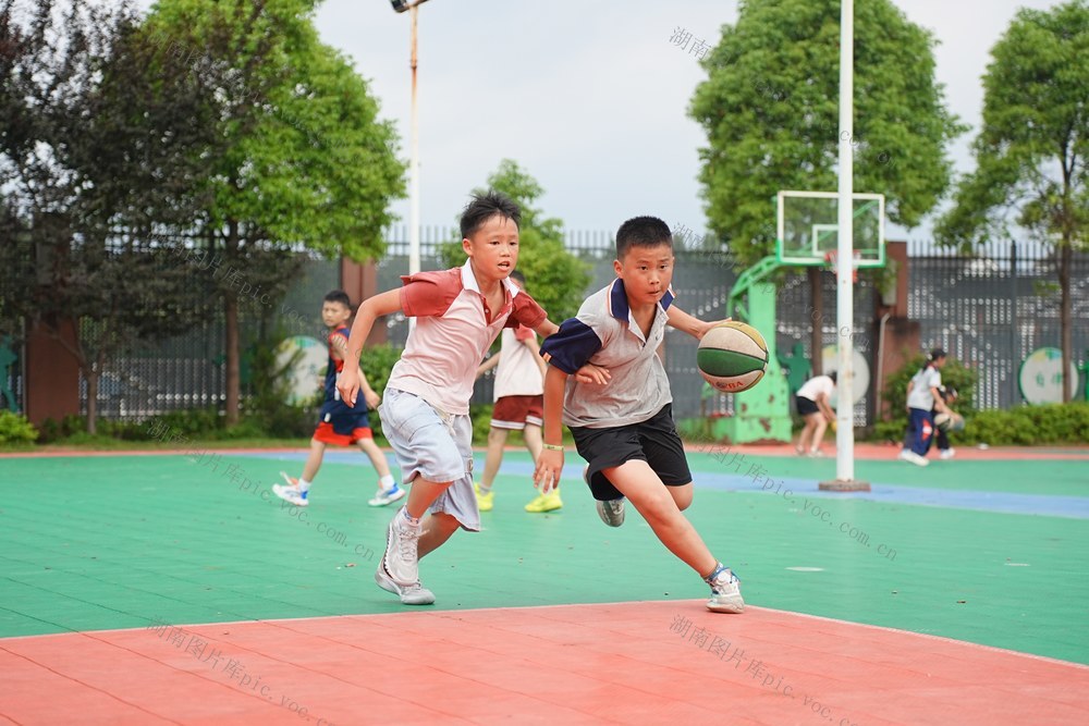 教育、课后服务、体育、教学、学校