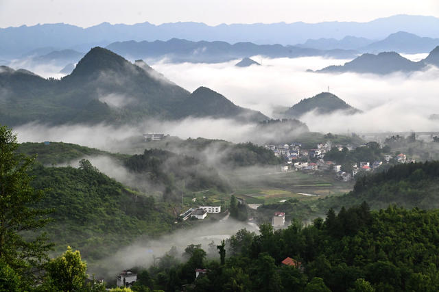 生态,环境,,云海,乡村振兴