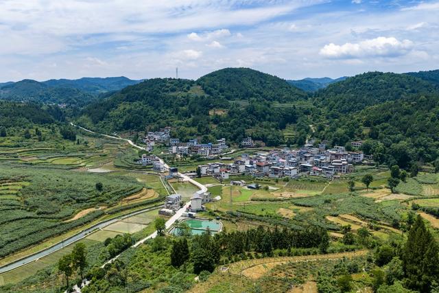 田园  凤凰  湘西  产业