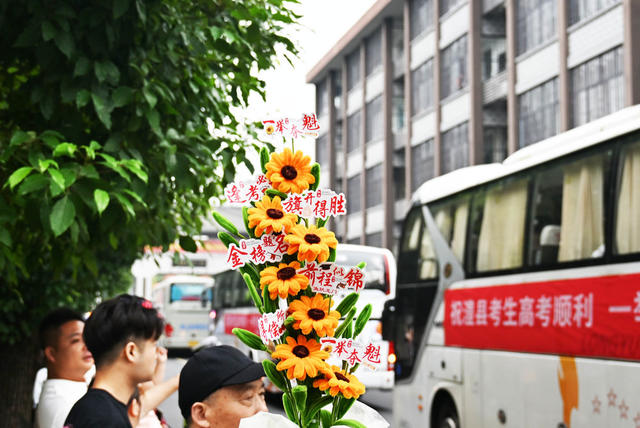 普通高校  招生考试  全国统考  考点  向日葵 