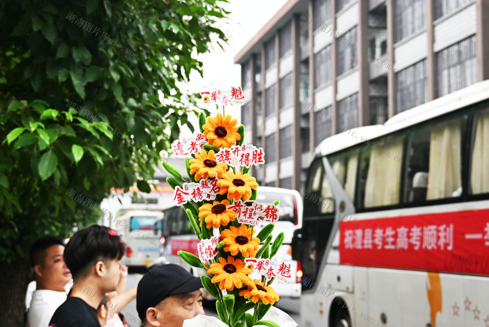 普通高校  招生考试  全国统考  考点  向日葵 