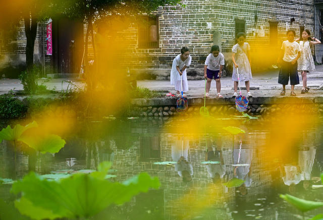 资兴市 流华湾 荷花 古民居 